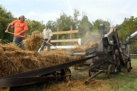 2025 Thresheree & Harvest Festival